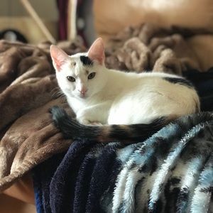 Meet your Posher, Angela